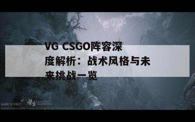 VG CSGO阵容深度解析：战术风格与未来挑战一览