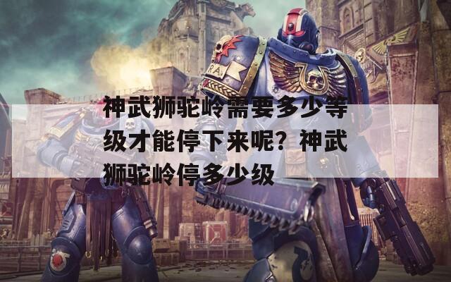 神武狮驼岭需要多少等级才能停下来呢？神武狮驼岭停多少级