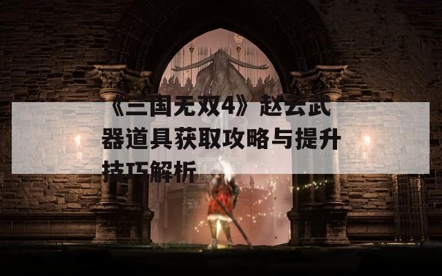 《三国无双4》赵云武器道具获取攻略与提升技巧解析