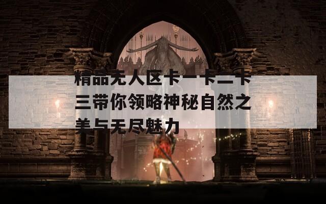 精品无人区卡一卡二卡三带你领略神秘自然之美与无尽魅力