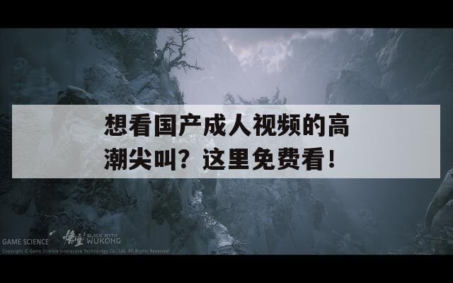 想看国产成人视频的高潮尖叫？这里免费看！