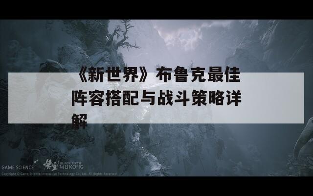 《新世界》布鲁克最佳阵容搭配与战斗策略详解