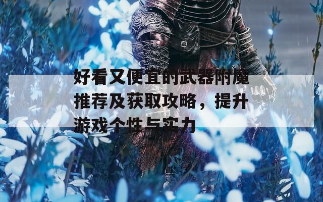 好看又便宜的武器附魔推荐及获取攻略，提升游戏个性与实力