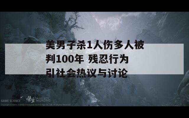 美男子杀1人伤多人被判100年 残忍行为引社会热议与讨论