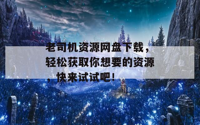 老司机资源网盘下载，轻松获取你想要的资源，快来试试吧！