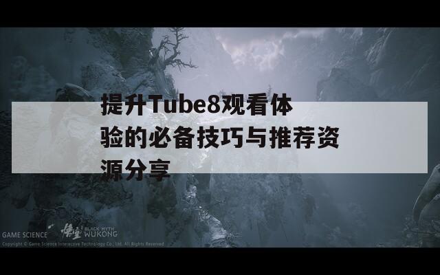 提升Tube8观看体验的必备技巧与推荐资源分享