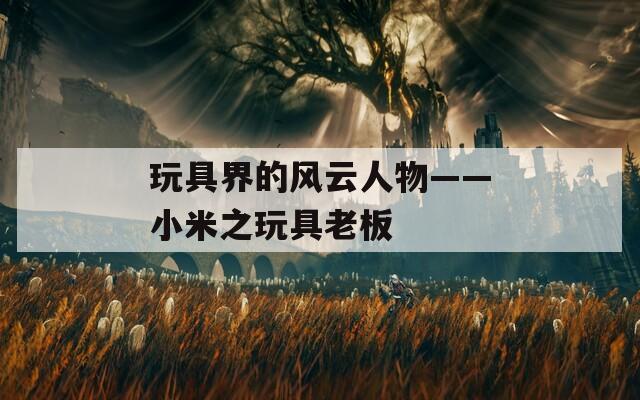 玩具界的风云人物——小米之玩具老板