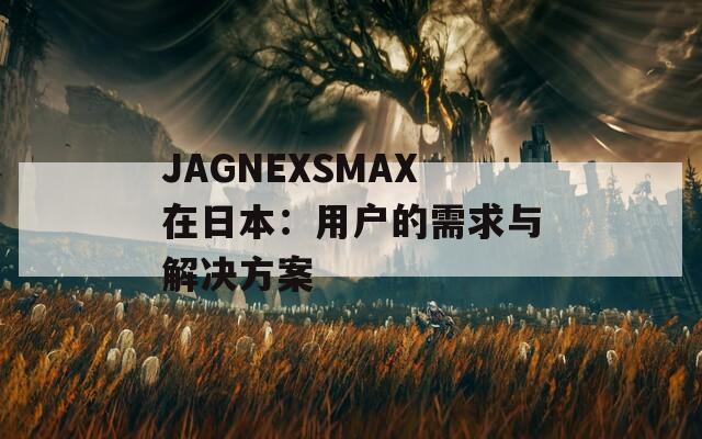 JAGNEXSMAX在日本：用户的需求与解决方案