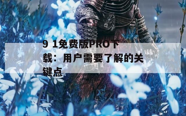 9 1免费版PRO下载：用户需要了解的关键点