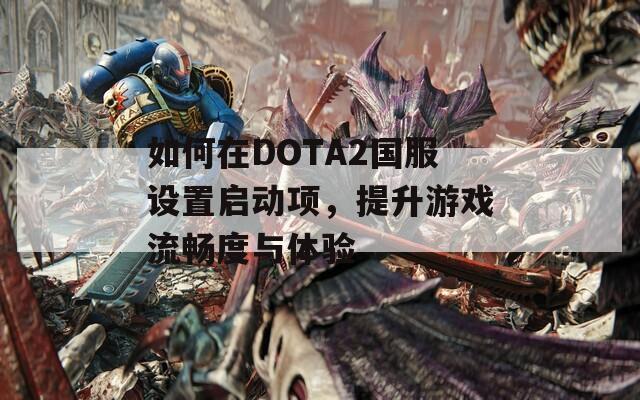 如何在DOTA2国服设置启动项，提升游戏流畅度与体验