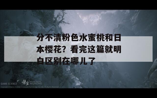 分不清粉色水蜜桃和日本樱花？看完这篇就明白区别在哪儿了