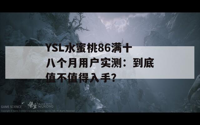 YSL水蜜桃86满十八个月用户实测：到底值不值得入手？