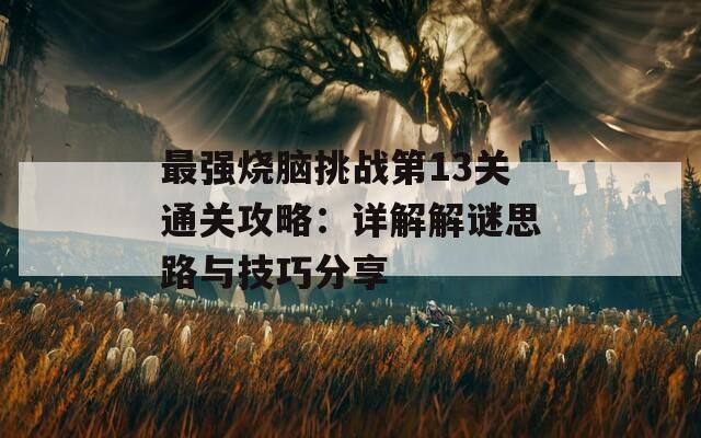 最强烧脑挑战第13关通关攻略：详解解谜思路与技巧分享