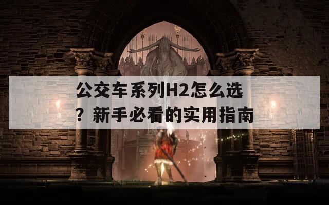 公交车系列H2怎么选？新手必看的实用指南