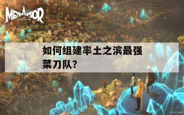 如何组建率土之滨最强菜刀队？