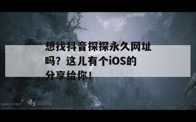 想找抖音探探永久网址吗？这儿有个iOS的分享给你！