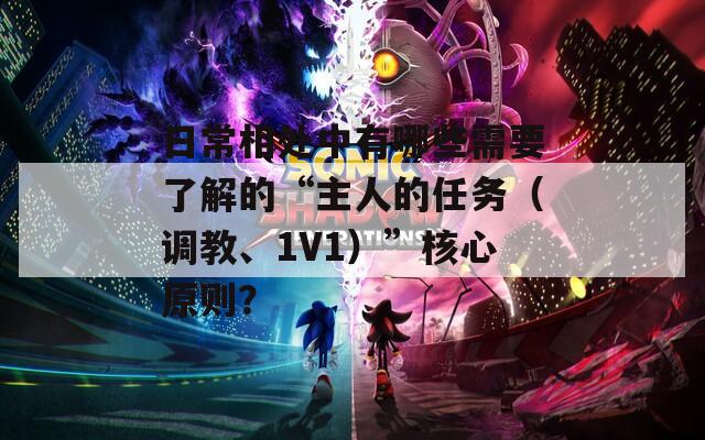 日常相处中有哪些需要了解的“主人的任务（调教、1V1）”核心原则？