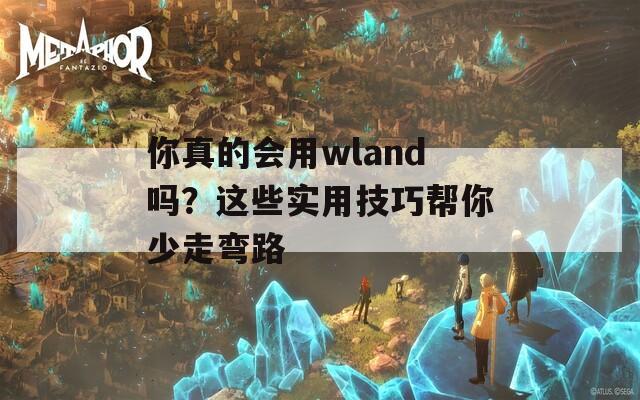 你真的会用wland吗？这些实用技巧帮你少走弯路