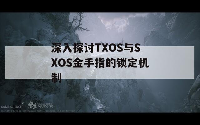 深入探讨TXOS与SXOS金手指的锁定机制