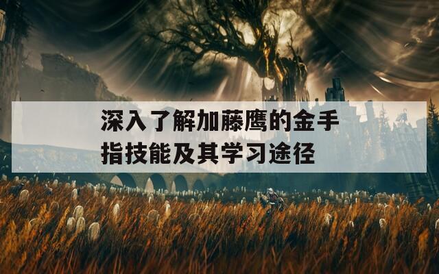 深入了解加藤鹰的金手指技能及其学习途径