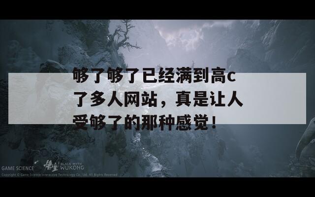 够了够了已经满到高c了多人网站，真是让人受够了的那种感觉！