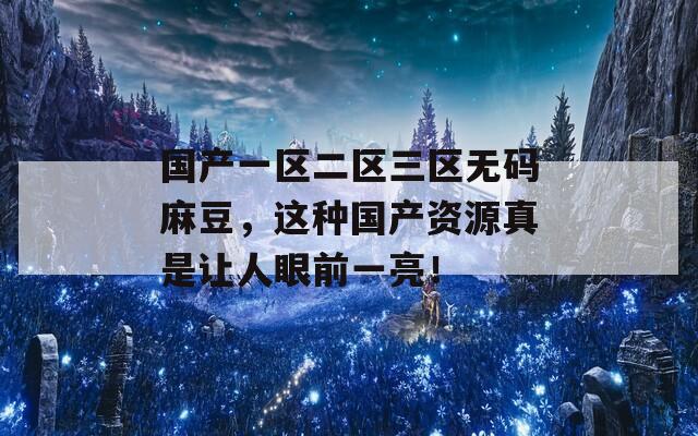 国产一区二区三区无码麻豆，这种国产资源真是让人眼前一亮！