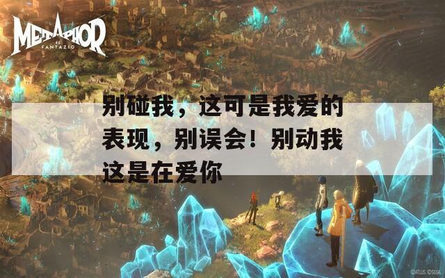 别碰我，这可是我爱的表现，别误会！别动我这是在爱你