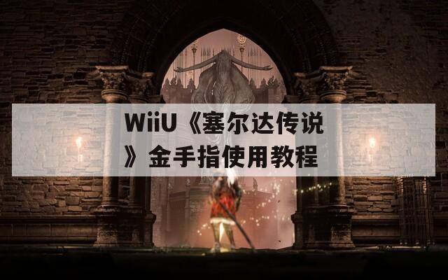 WiiU《塞尔达传说》金手指使用教程