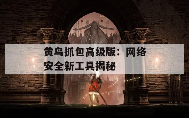 黄鸟抓包高级版：网络安全新工具揭秘