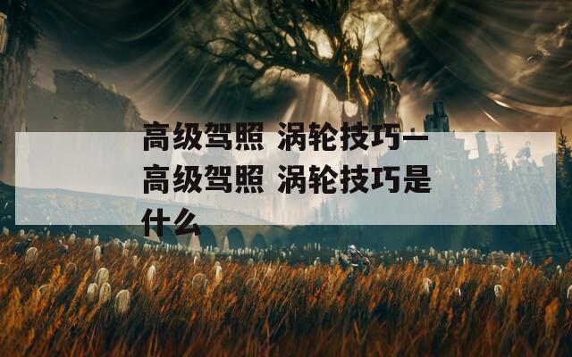 高级驾照 涡轮技巧—高级驾照 涡轮技巧是什么