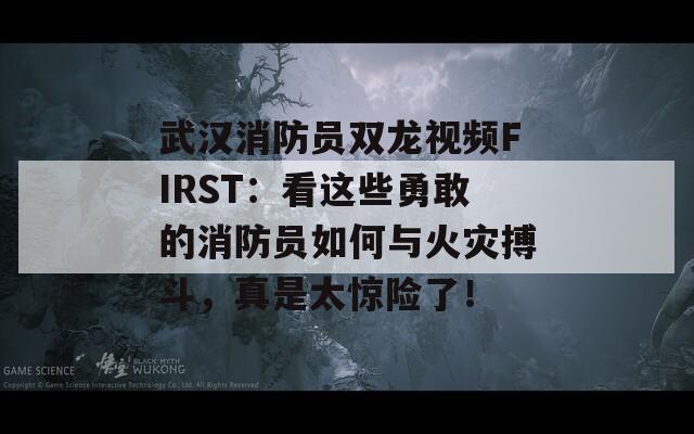 武汉消防员双龙视频FIRST：看这些勇敢的消防员如何与火灾搏斗，真是太惊险了！