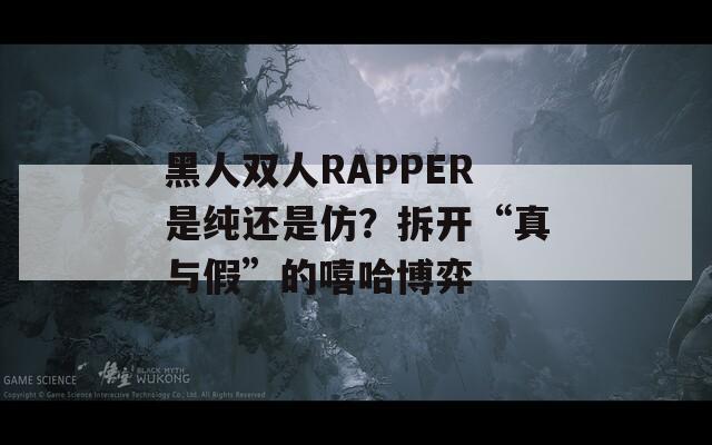 黑人双人RAPPER是纯还是仿？拆开“真与假”的嘻哈博弈