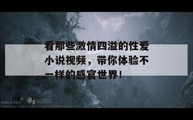 看那些激情四溢的性爱小说视频，带你体验不一样的感官世界！