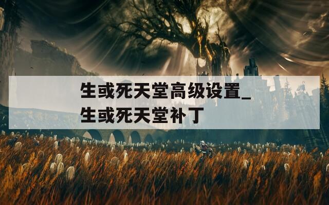 生或死天堂高级设置_生或死天堂补丁