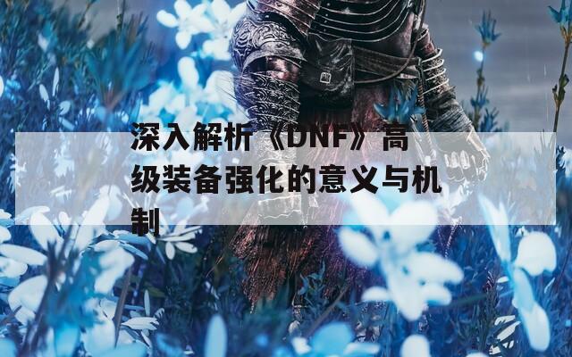 深入解析《DNF》高级装备强化的意义与机制