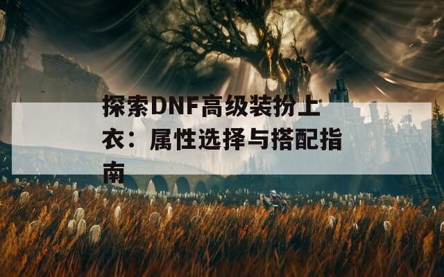 探索DNF高级装扮上衣：属性选择与搭配指南