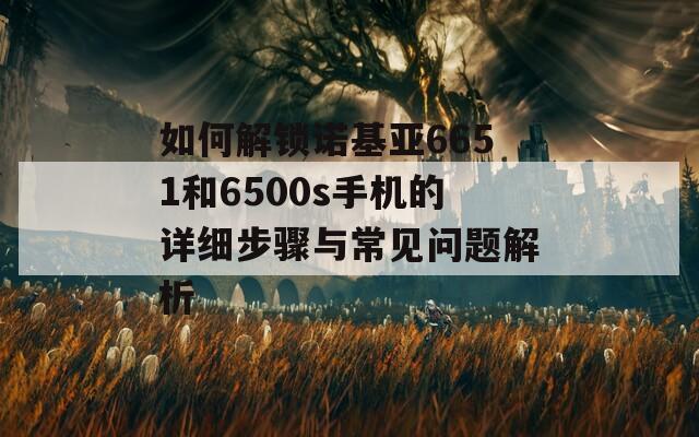 如何解锁诺基亚6651和6500s手机的详细步骤与常见问题解析