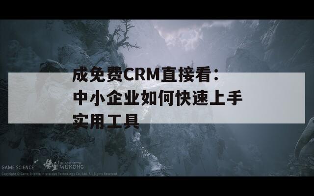 成免费CRM直接看：中小企业如何快速上手实用工具